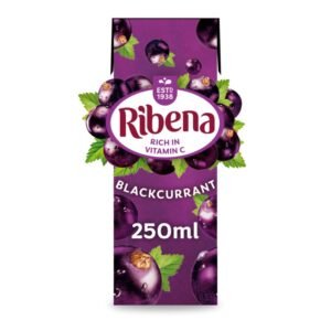 Ribena Blackcurrant Cartons  24 x 250ml