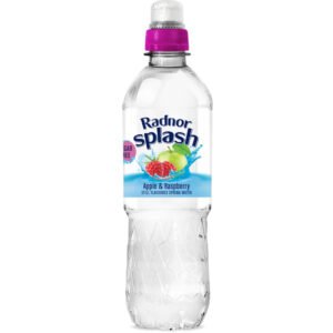 Radnor <BR> Apple & Raspberry <BR>  24 x 500ml